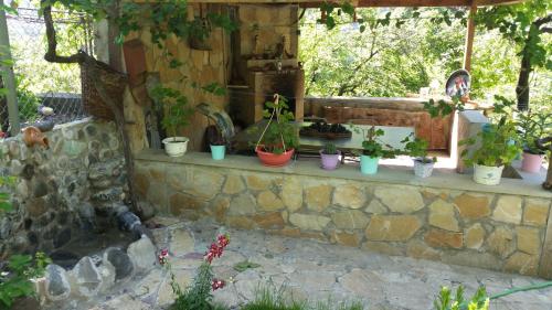 Guest House Ucha