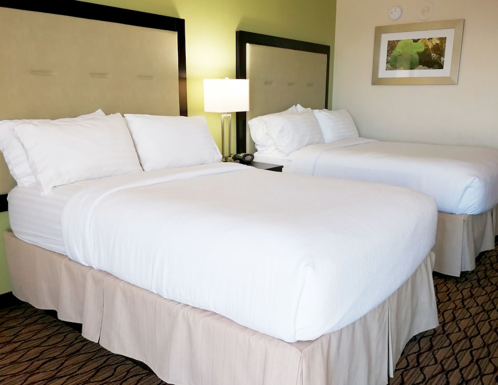 Holiday Inn Corpus Christi Downtown Marina by IHG - photo 8