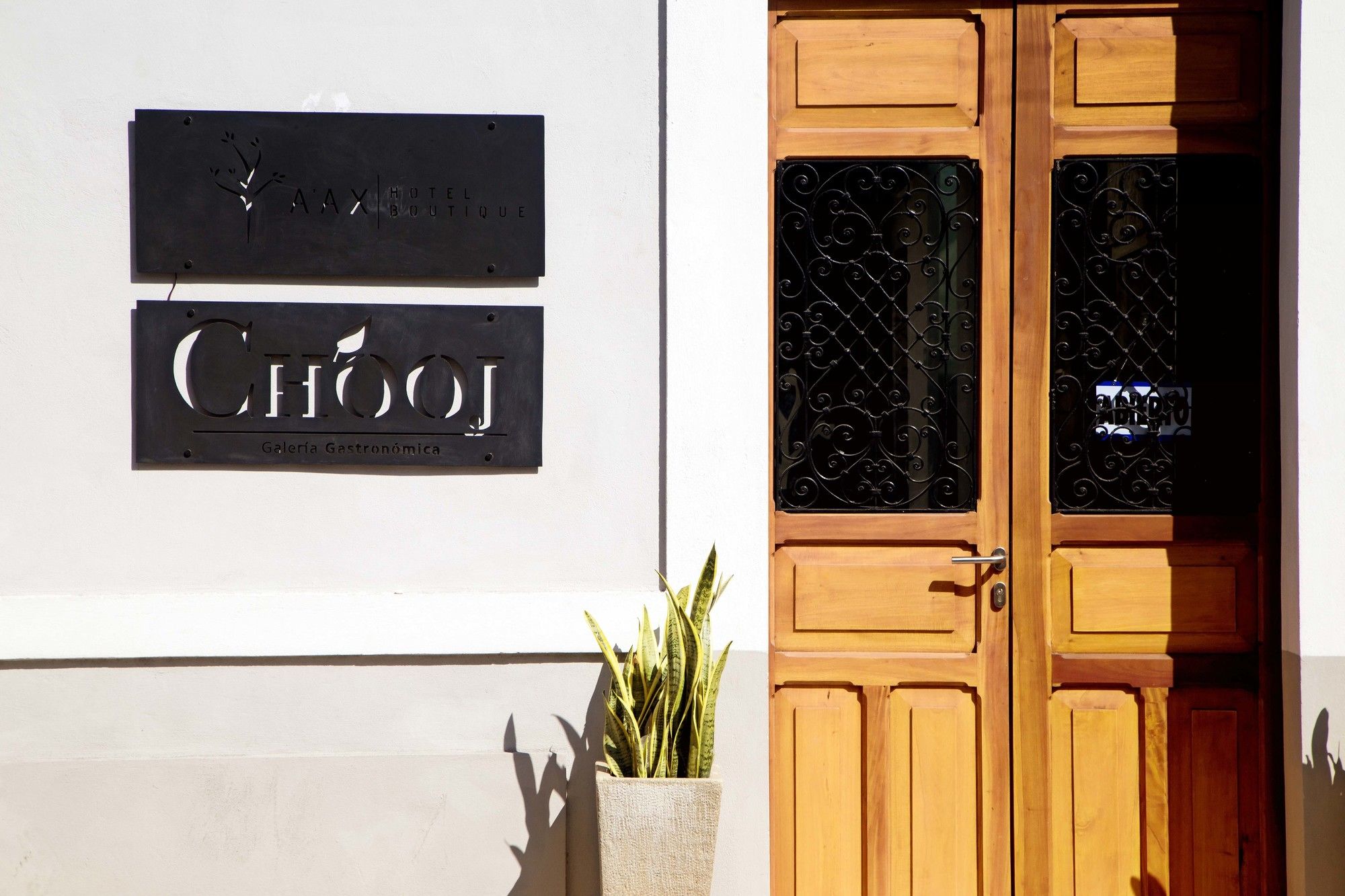 Ya'ax Hotel Boutique
