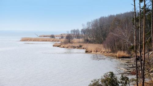 Hotel Krynica Morska Four Winds in Krynica Morska, Poland