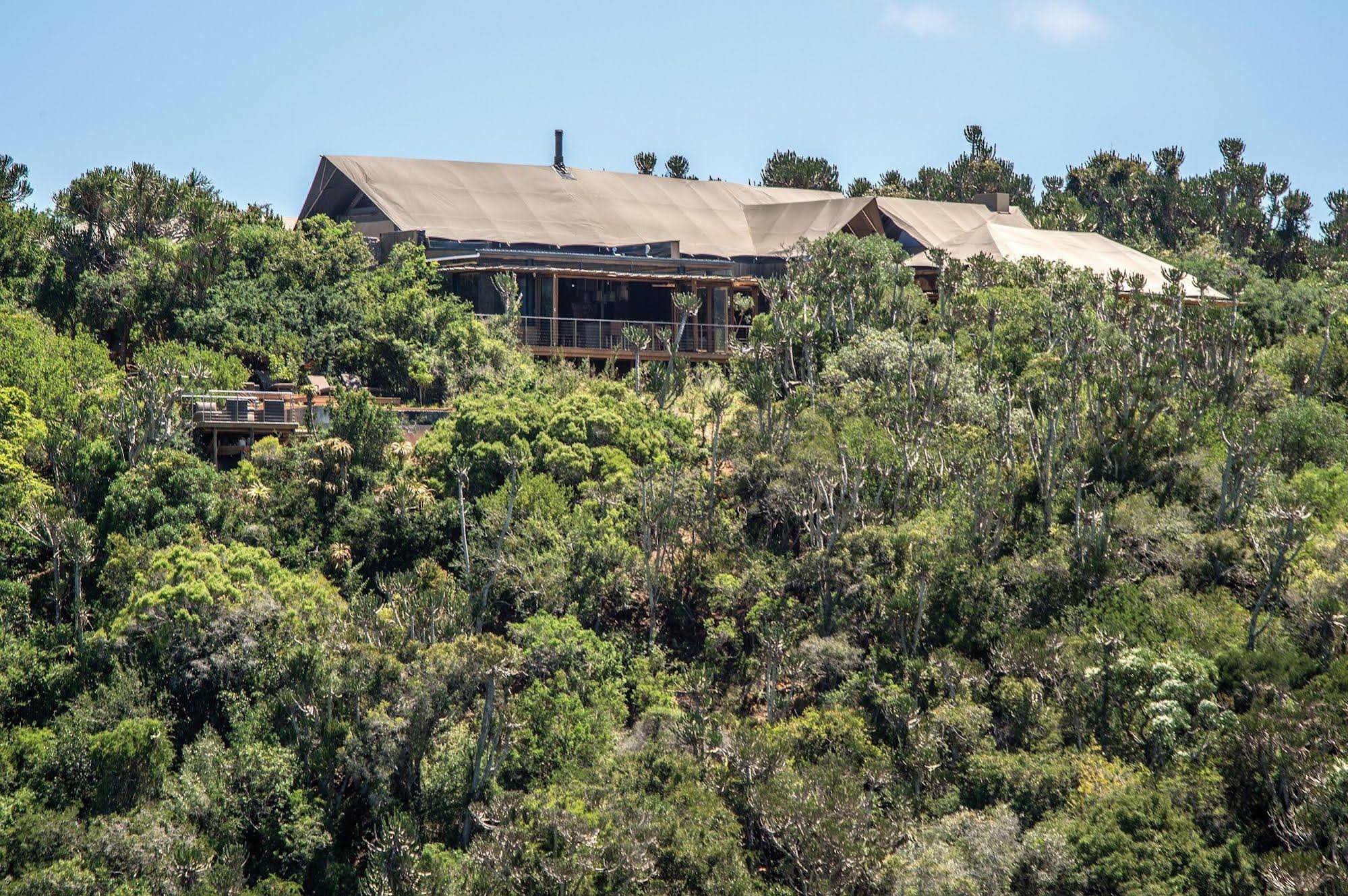 Kariega Game Reserve in Port Elizabeth, South Africa