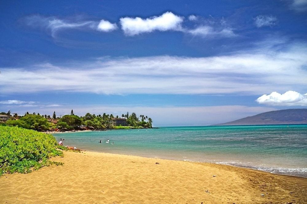 Valley Isle Resort #901 by RedAwning - photo 8