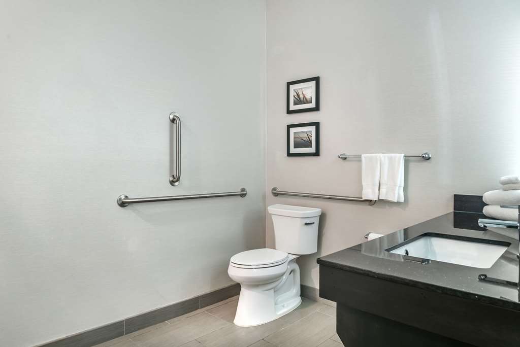 Comfort Inn & Suites Adrian - photo 18