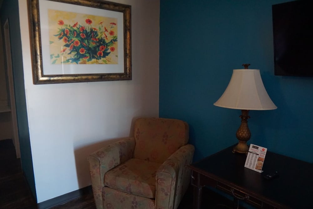 La Hacienda Hotel - photo 11