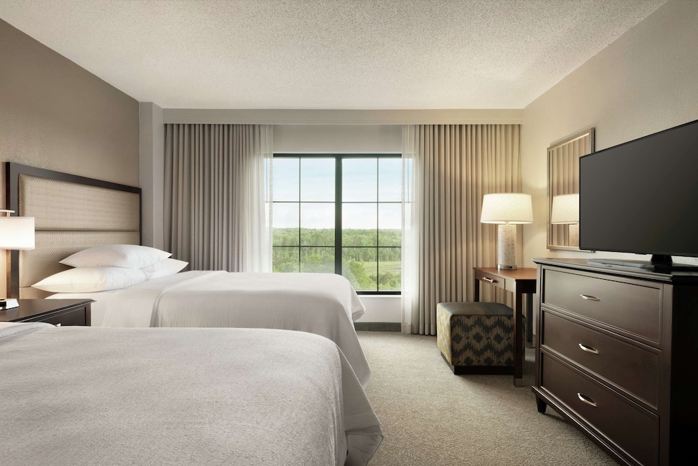 Embassy Suites by Hilton Atlanta Alpharetta - photo 10
