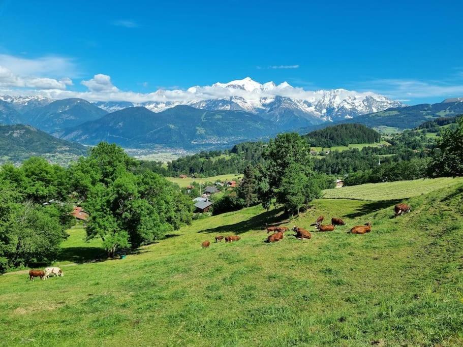 A Cordon Entre Bois Et Nature — Cordon