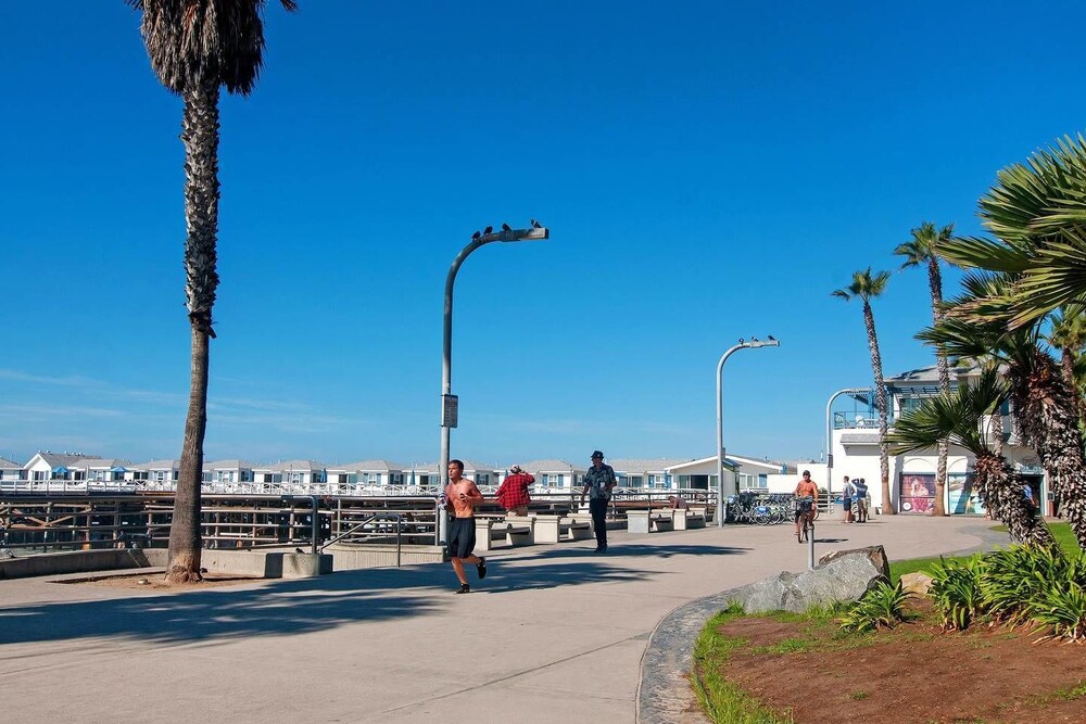 Scenic 4br 3.5ba in PB by Domio - photo 25