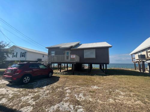 Roedder in Dauphin Island, United States