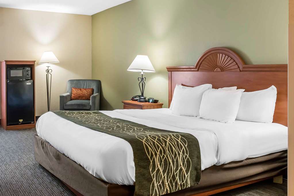 Comfort Inn Pine Grove I 81 Hershey Area - photo 9