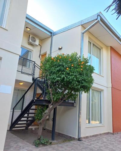 Colorina Complejo Residencial II — San Rafael — photo 5
