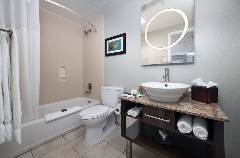 Mariposa Inn & Suites - photo 16