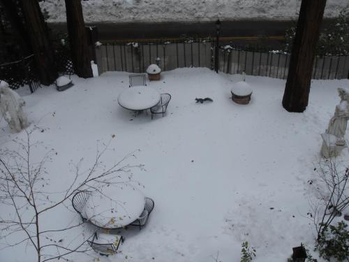 Fleur De Lac Europeran Inn - photo 18
