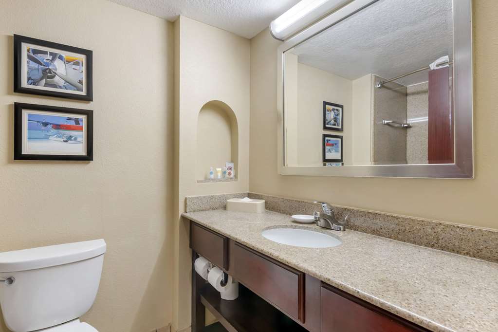 Comfort Inn & Suites Tavares North - photo 26