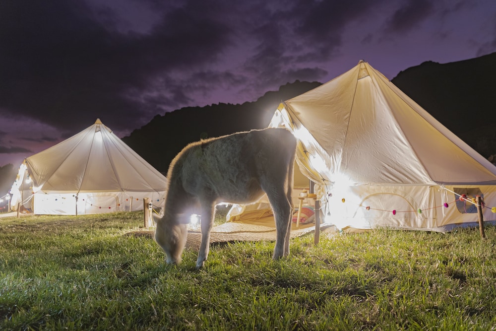 Andean Glamping in Pisac, Peru