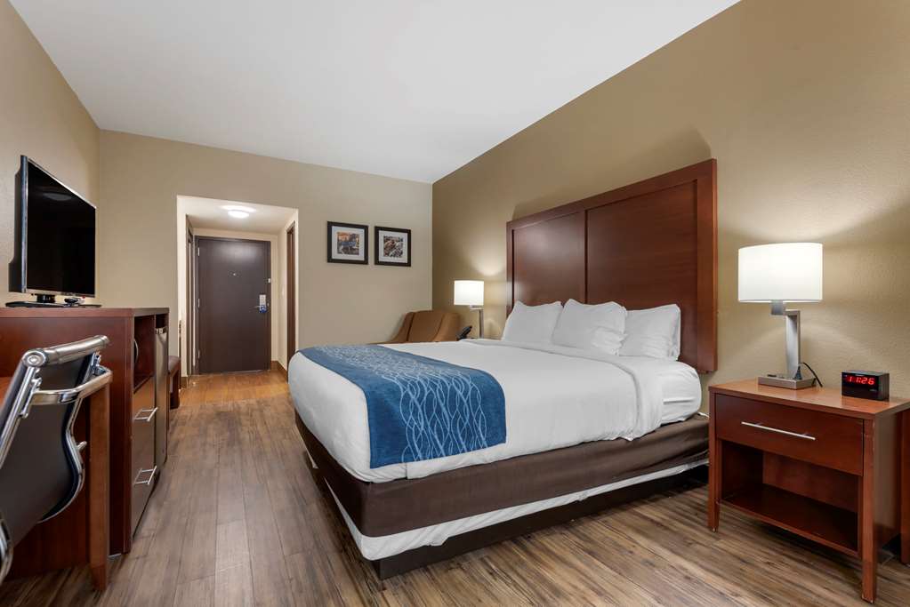 Comfort Inn Binghamton I 81 - photo 18