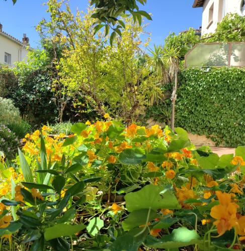 Les Papillons - carbon neutral hotel in Perpignan