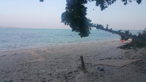 Pellicon Beach Resorts — Unknown City — photo 2