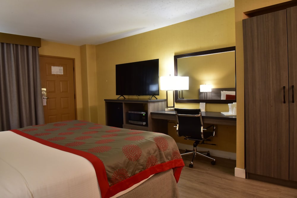 Ramada by Wyndham San Diego National City - photo 15