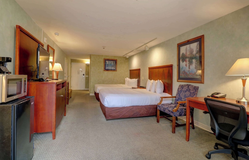 Senator Inn & Spa - photo 45