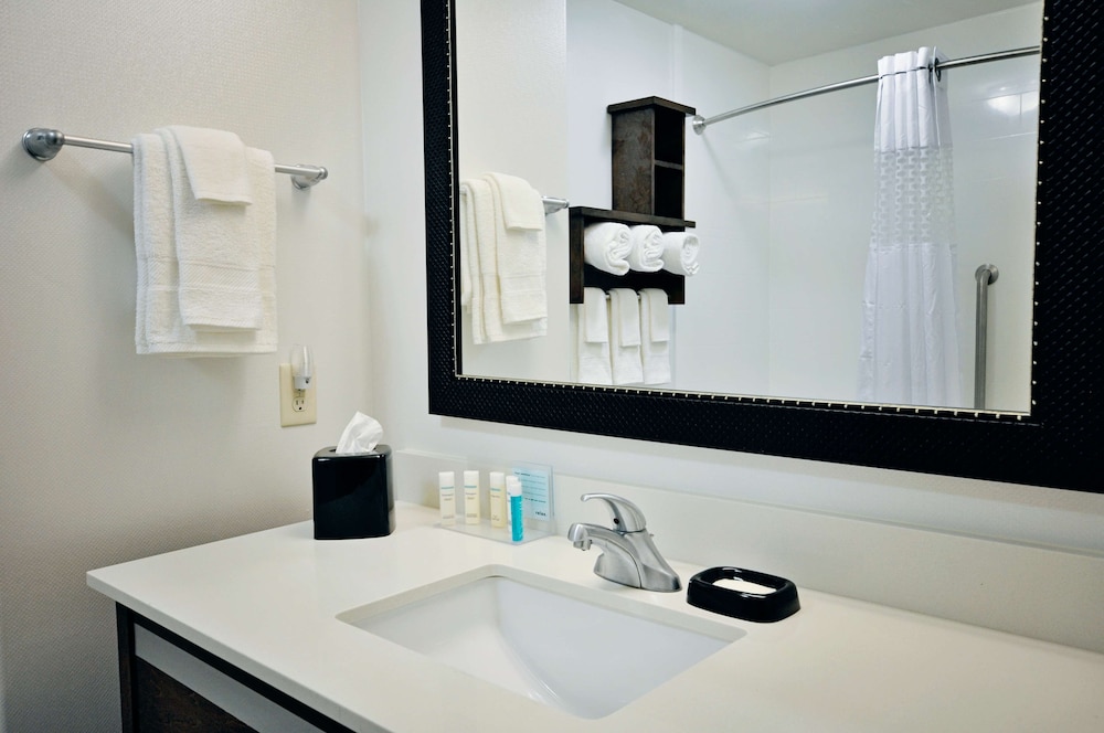 Hampton Inn & Suites Hutto Austin - photo 27
