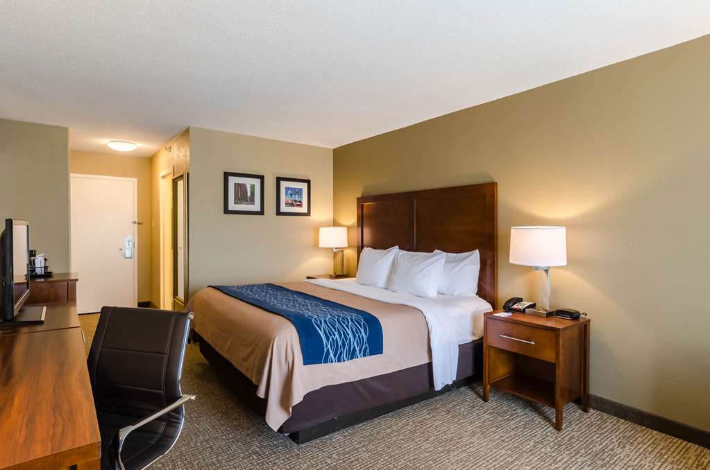 Comfort Inn Randolph Boston - photo 21