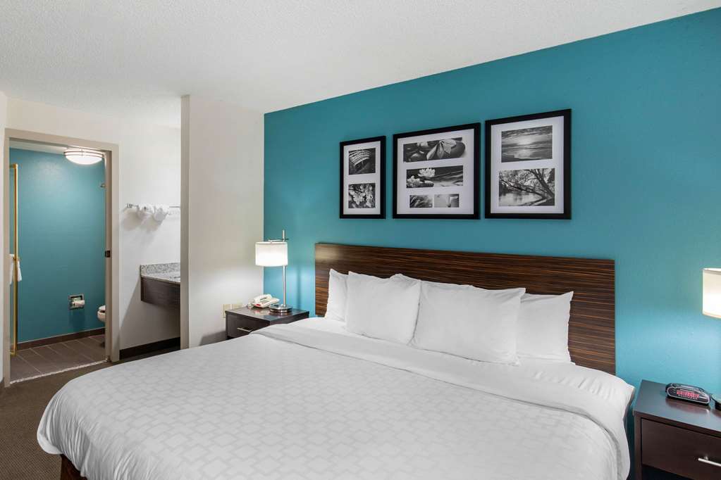 Clarion Inn & Suites DFW North - photo 22