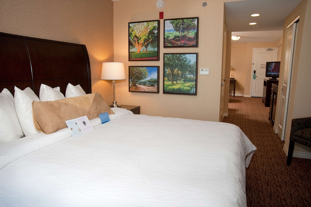 Hilton Garden Inn St. Louis Airport - photo 15