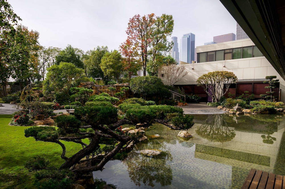 מראה חיצוני