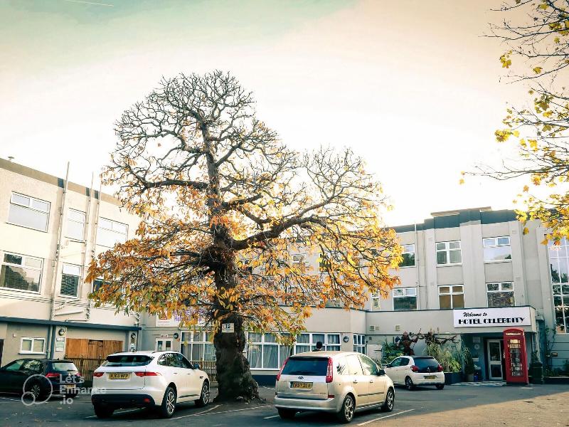 Hotel Celebrity Bournemouth East Cliff by Villare Hotels in Bournemouth, United Kingdom