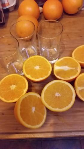 Bed & Breakfast 28 Appartement met Privé Tuin — 4-Star Luxury Hotel in Assen, Netherlands