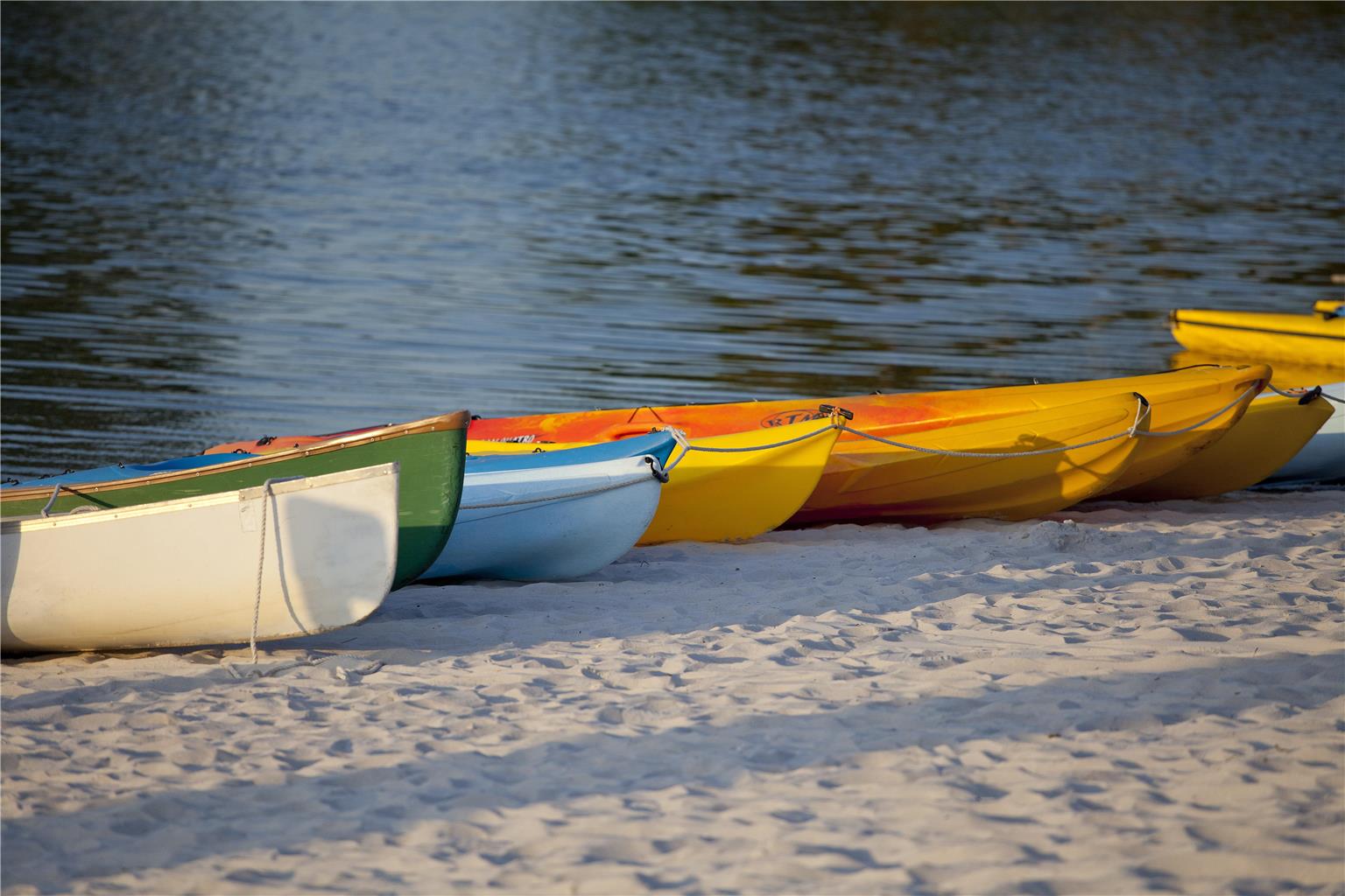 Hyatt Regency Grand Cypress - photo 15