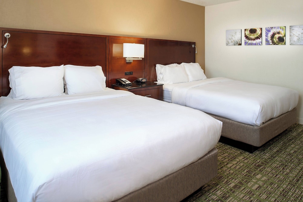 Marriott St. Louis West - photo 22