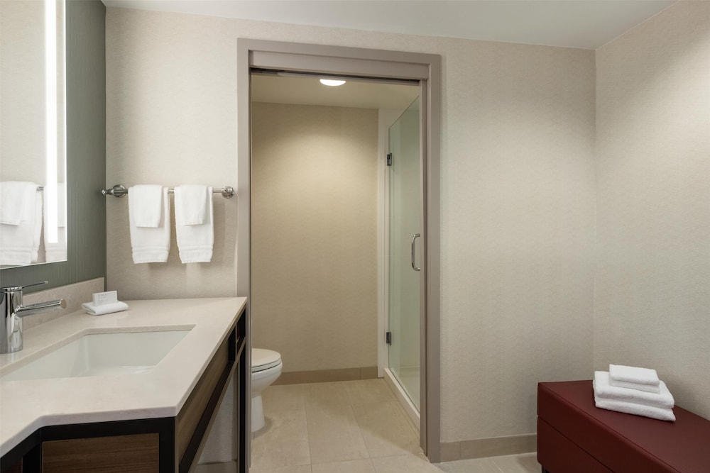Hilton Garden Inn Atlanta Downtown - photo 31