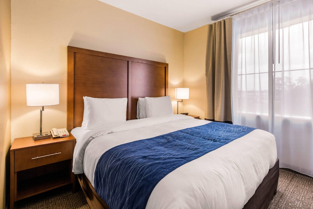 Comfort Inn & Suites IAH Bush Airport East - photo 13
