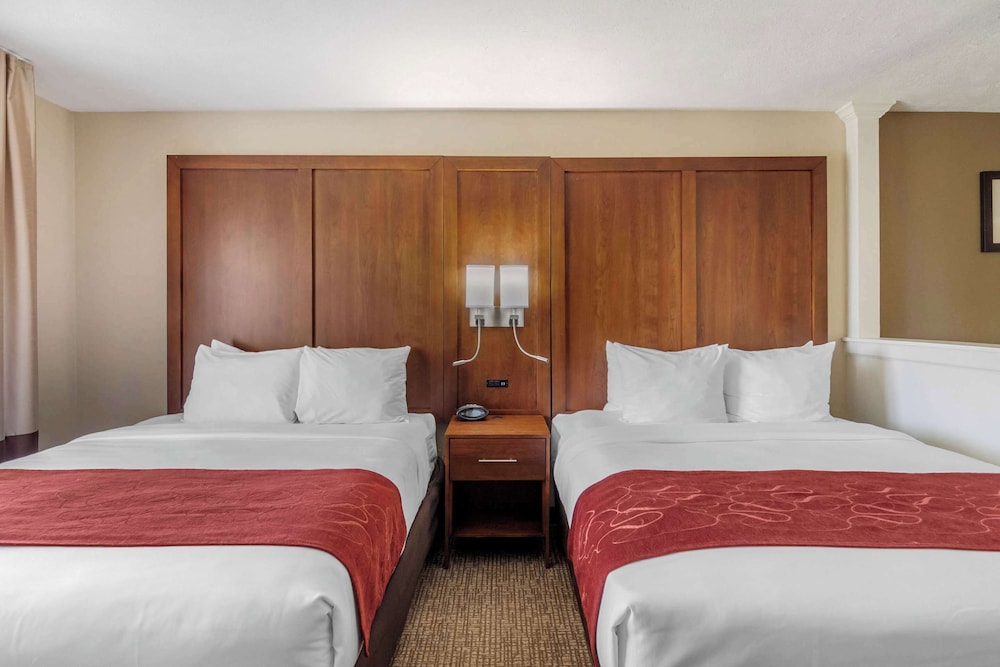 Comfort Suites Speedway Kansas City - photo 7