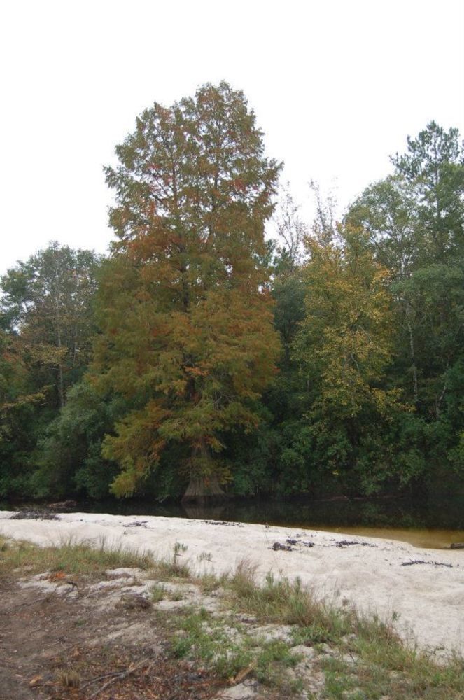 Tux Creek Inn - photo 10