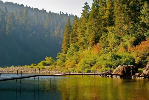 Redwood Meadows RV Resort and Cabins - photo 10