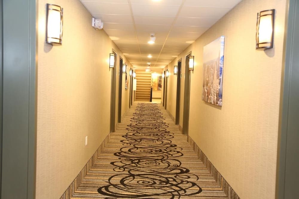 Red Carpet Inn Elmwood Park - photo 41