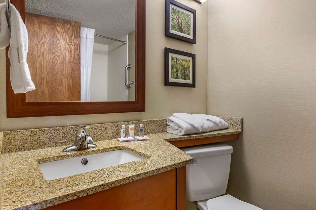 Comfort Inn & Suites near Danville Mall - photo 11