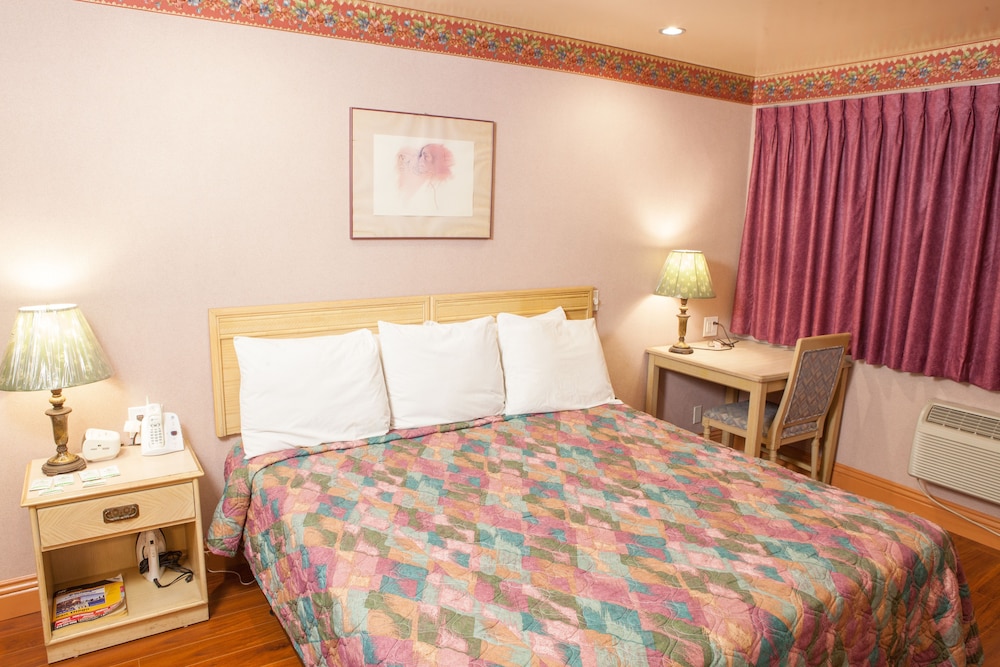Stardust Inn - photo 14