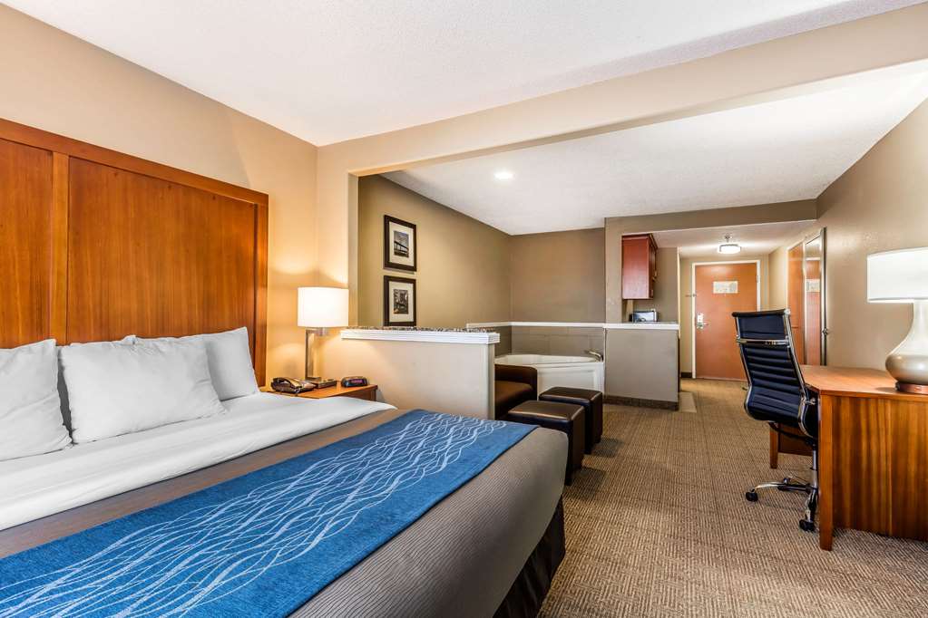 Comfort Inn & Suites Airport American Way - photo 16