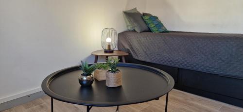 Le Petit Jungle Hyper Centre Wifi in Mont-De-Marsan, France