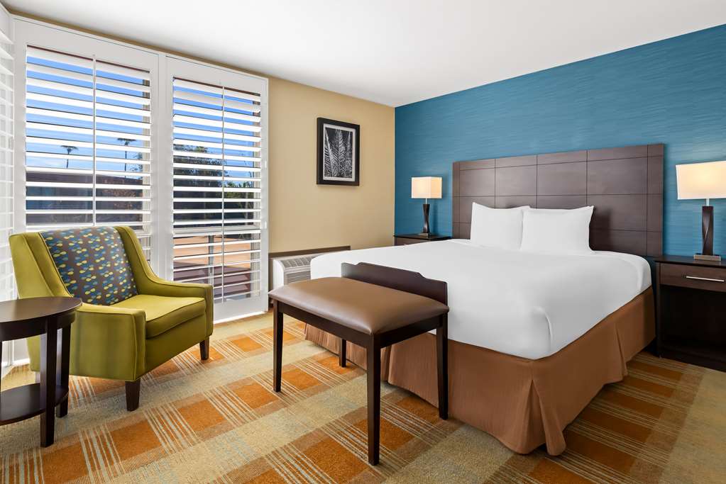 Best Western Date Tree Hotel - photo 8