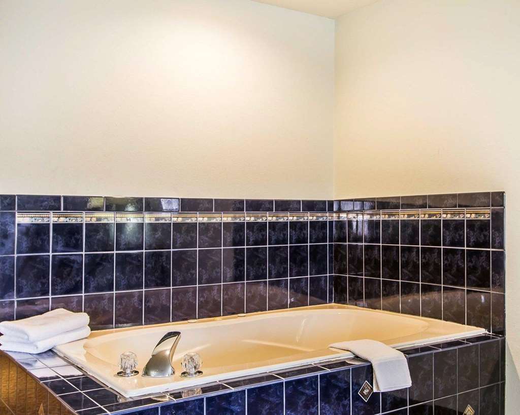 Quality Inn Pontiac - photo 44