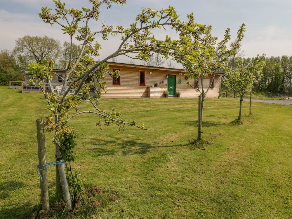 Down the Rabbit Hole in Bristol, United Kingdom