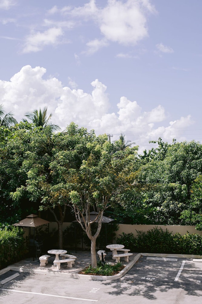 Vistalmar Beach Resort - photo 90