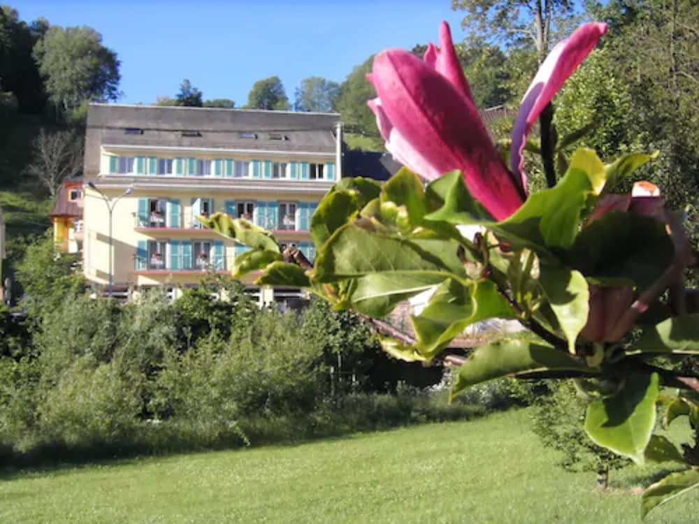 Hotel Restaurant Aux Bruyeres — Orbey