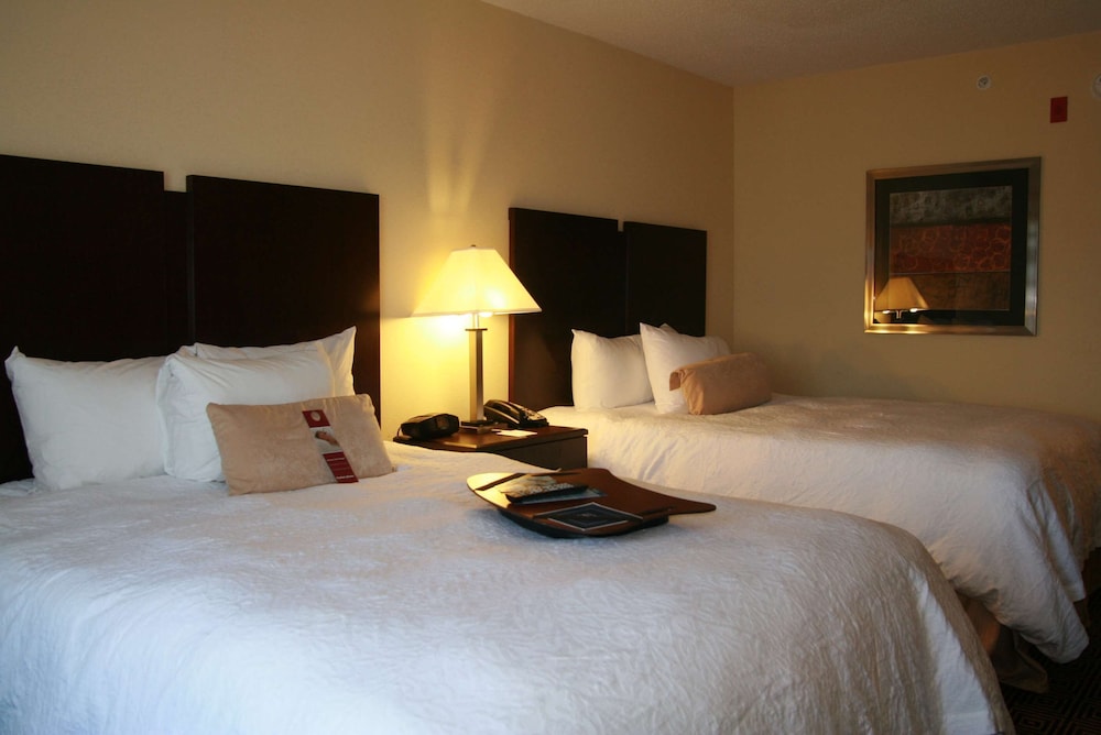 Hampton Inn & Suites Orlando John Young Pkwy S. Park - photo 8