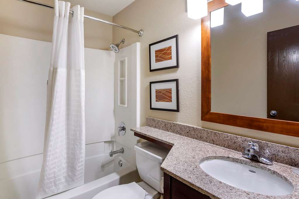 Comfort Inn Nashville West - photo 56