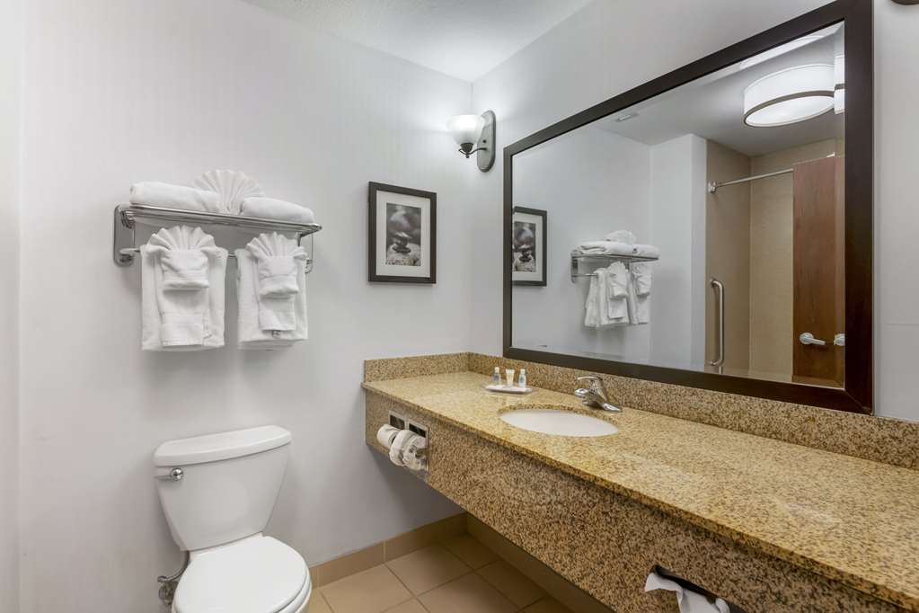 Comfort Suites Conference Center Rapid City - photo 11